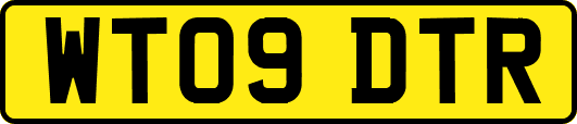 WT09DTR
