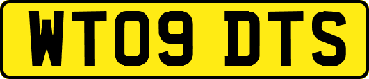 WT09DTS