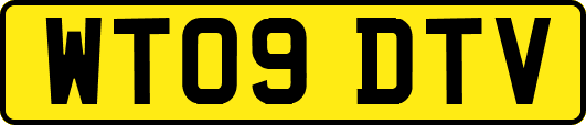 WT09DTV