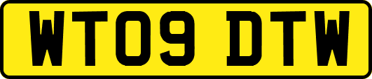 WT09DTW