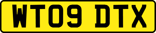 WT09DTX