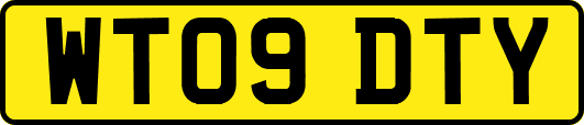WT09DTY