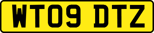 WT09DTZ