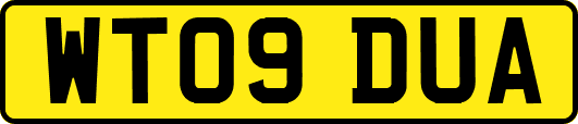 WT09DUA