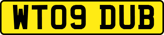 WT09DUB