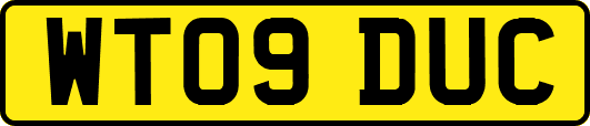 WT09DUC