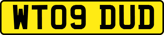 WT09DUD