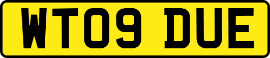 WT09DUE
