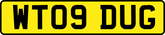 WT09DUG