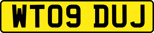 WT09DUJ