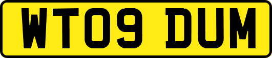 WT09DUM