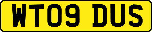 WT09DUS
