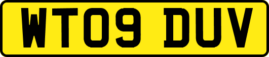 WT09DUV