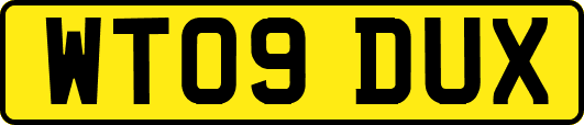 WT09DUX