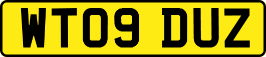 WT09DUZ