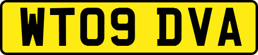 WT09DVA
