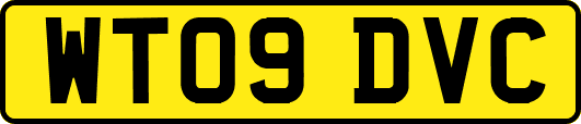 WT09DVC