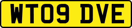WT09DVE