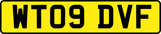 WT09DVF