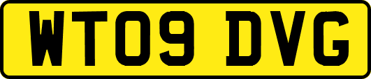 WT09DVG
