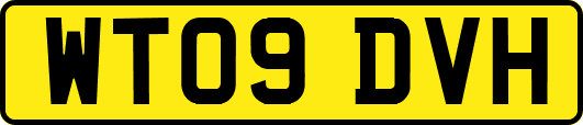 WT09DVH