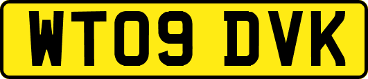 WT09DVK