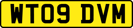 WT09DVM