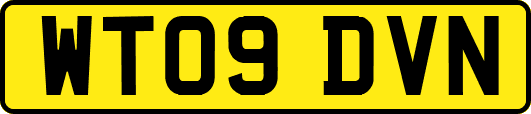 WT09DVN