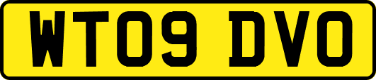 WT09DVO