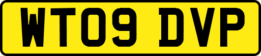 WT09DVP
