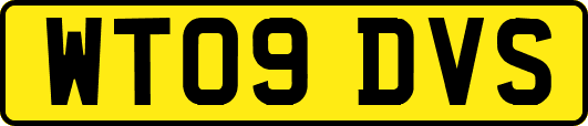 WT09DVS