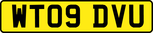 WT09DVU