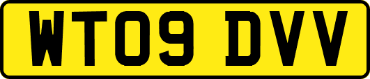 WT09DVV