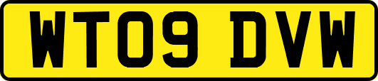 WT09DVW