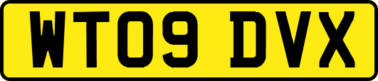 WT09DVX