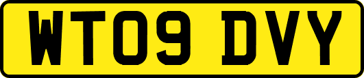 WT09DVY