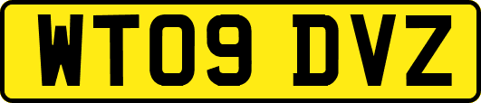 WT09DVZ