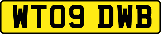 WT09DWB