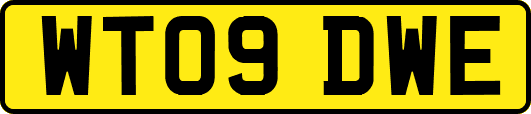 WT09DWE