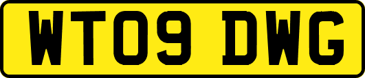 WT09DWG