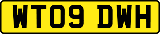 WT09DWH