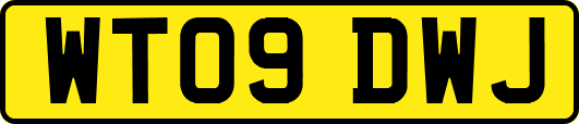 WT09DWJ