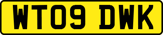 WT09DWK