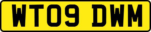 WT09DWM