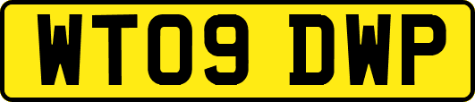 WT09DWP