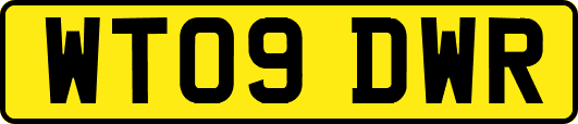 WT09DWR