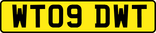 WT09DWT