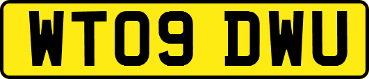 WT09DWU