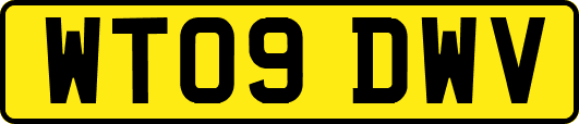 WT09DWV