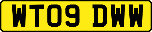WT09DWW
